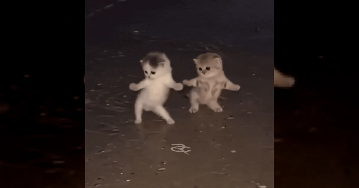 AI Rumpelstiltskin dancing video