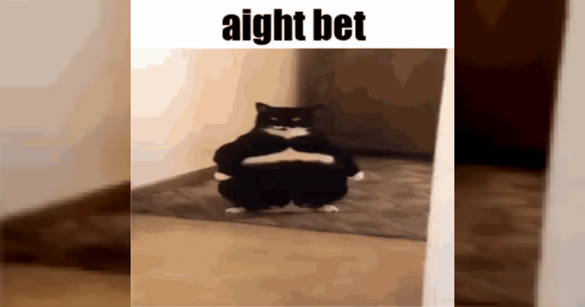 aight
