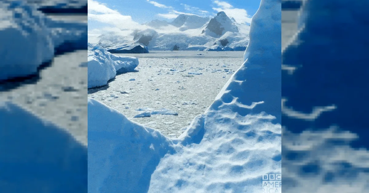 biome