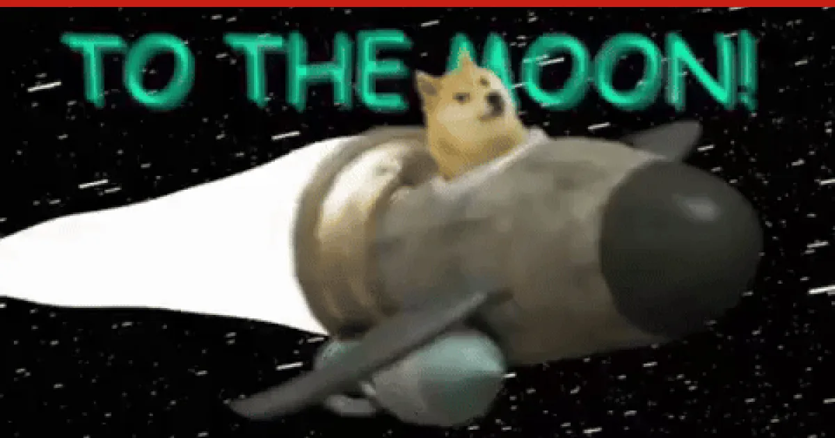 doge, a GenZHype entry