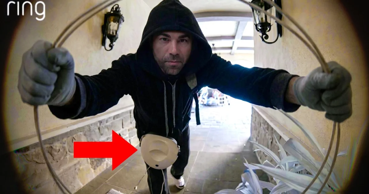 Mark Rober Accused of Orchestrating JasonTheWeen's Giveaway Car Theft