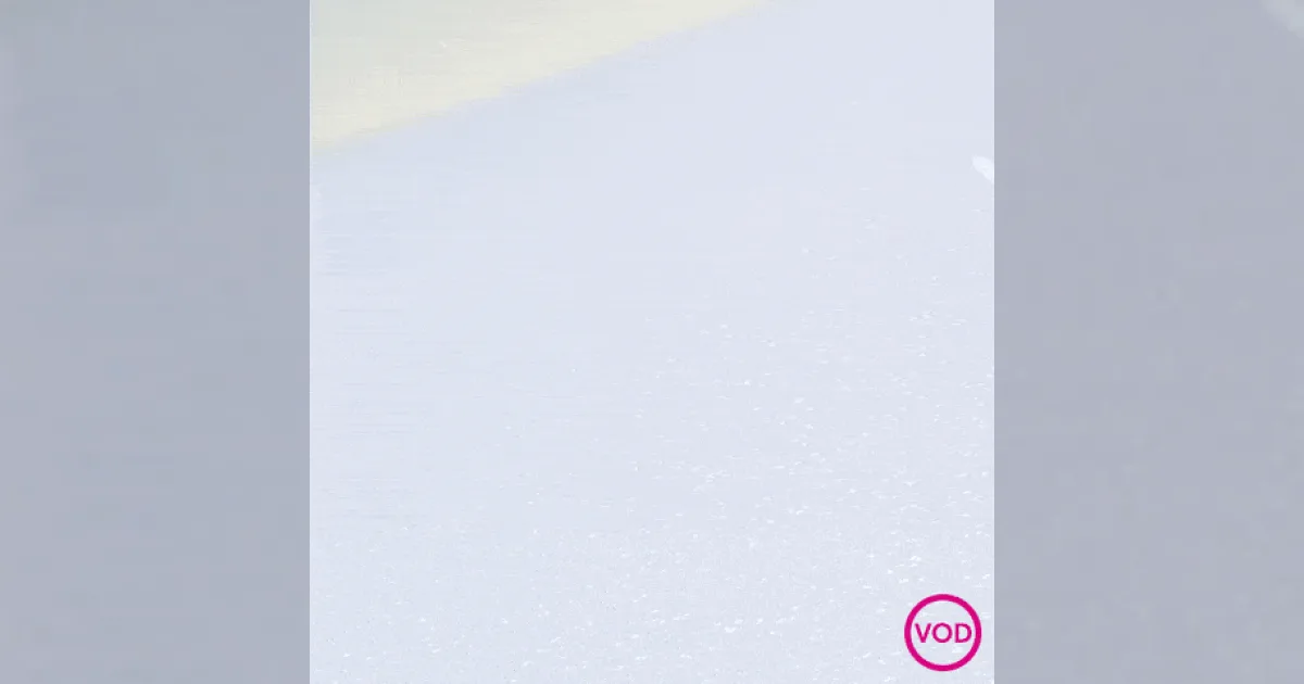 the vod