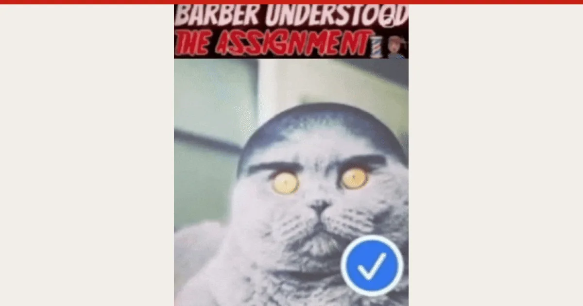 understood the assignment, a GenZHype entry