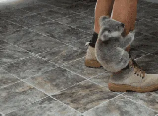 ankle biter meme, example 2