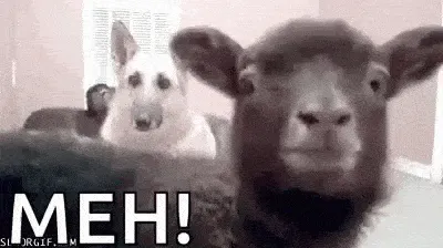 goat meme, example 2