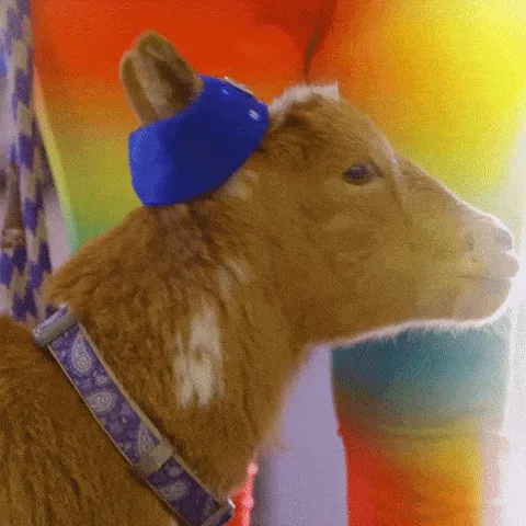 goat meme, example 3