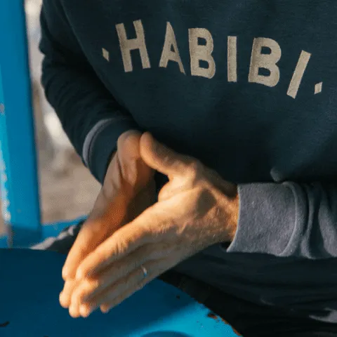 habibi meme, example 1