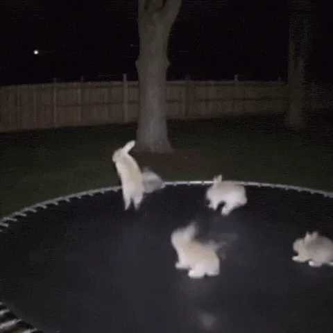 hopping meme, example 1