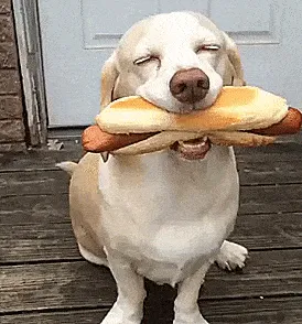 hotdog meme, example 2