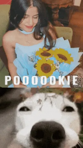 pookie meme, example 1