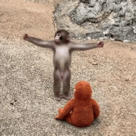 punch the monkey meme, example 2