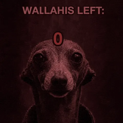 wallahi meme, example 1