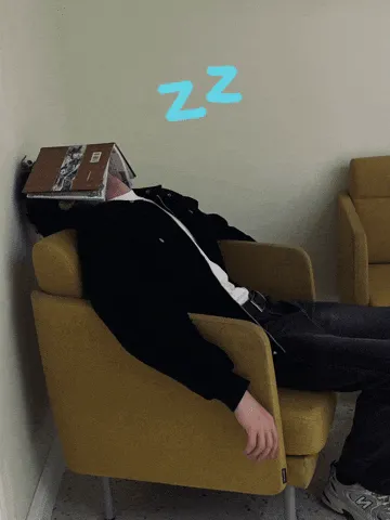 Zayn Malik sleeping meme meme, example 1