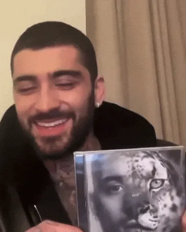 Zayn Malik sleeping meme meme, example 2